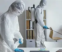 Disinfection Services